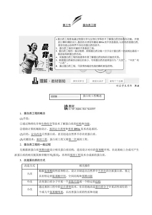 高中生物苏教版高二选修3教学案：第一章_第三节_蛋白质工程