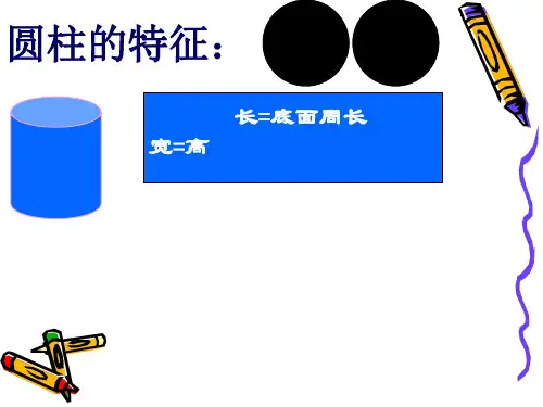 《圆柱与圆锥》复习课PPT优秀课件