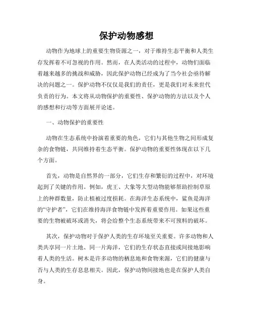 保护动物感想