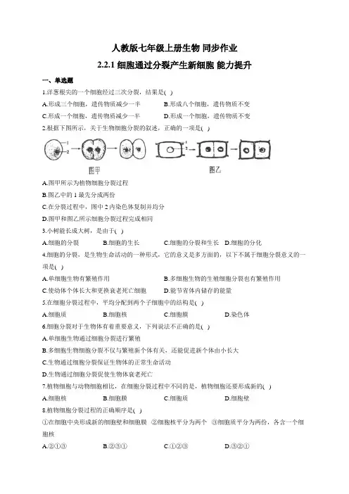 人教版七年级上册生物 同步作业 2