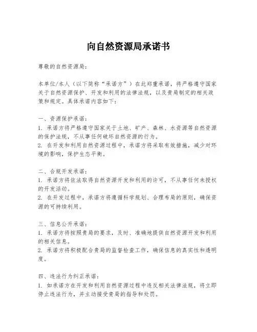 向自然资源局承诺书