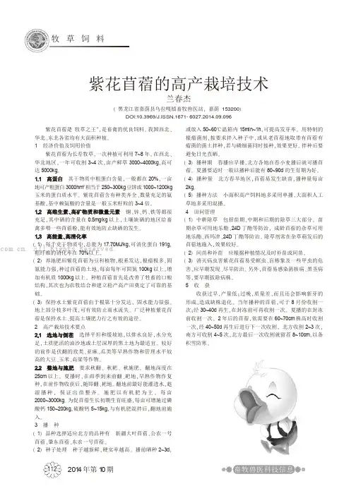 紫花苜蓿的高产栽培技术