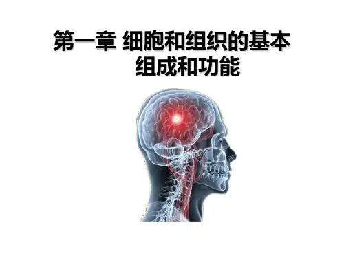 细胞和组织的基本组成和功能
