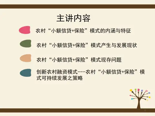 农村小额信贷保险PPT课件