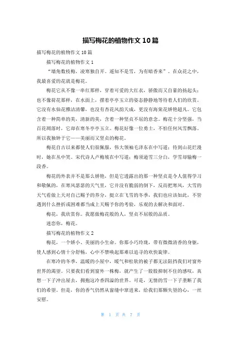 描写梅花的植物作文10篇