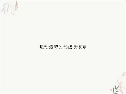 运动疲劳的形成及恢复PPT.