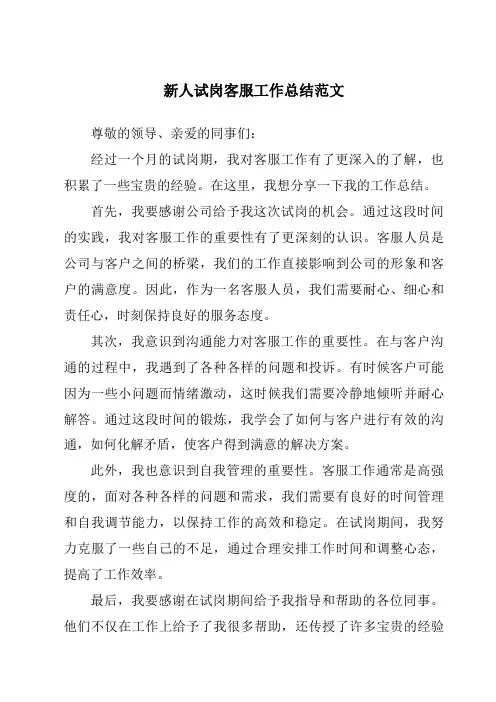 新人试岗客服工作总结范文