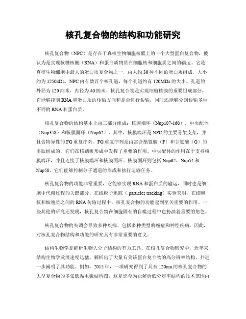 核孔复合物的结构和功能研究