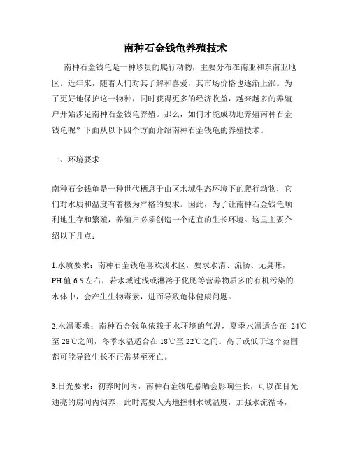 南种石金钱龟养殖技术