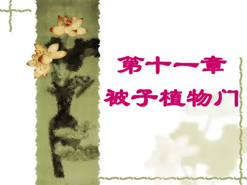 石大药用植物学课件11被子植物