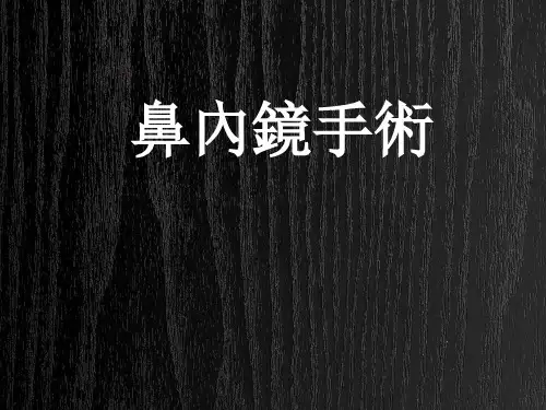 鼻内镜手术 PPT-