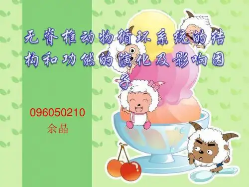 循环系统