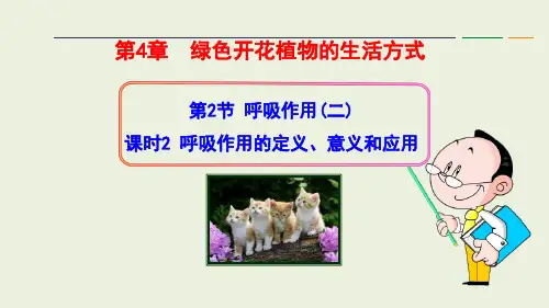 【初中生物】呼吸作用的定义、意义和应用课件-2024--2025学年北师大版生物七年级上册