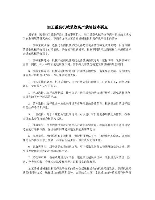 加工番茄机械采收高产栽培技术要点
