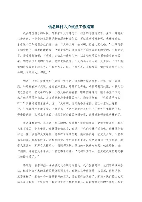 信息进村入户试点工作指南