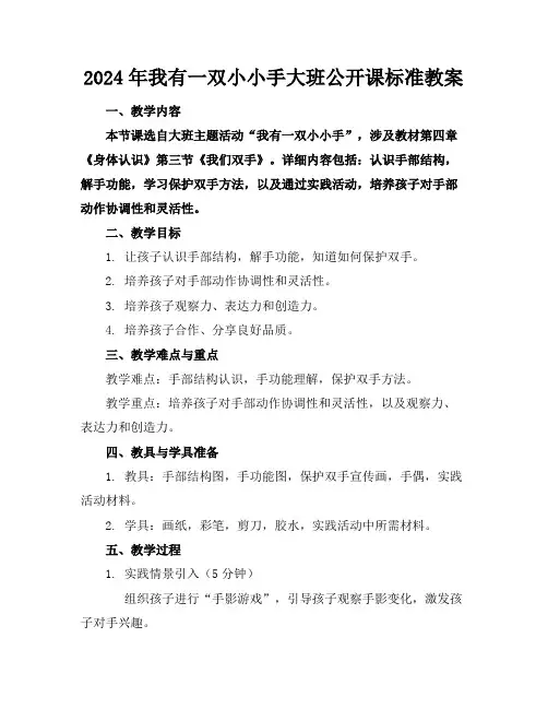 2024年我有一双小小手大班公开课标准教案