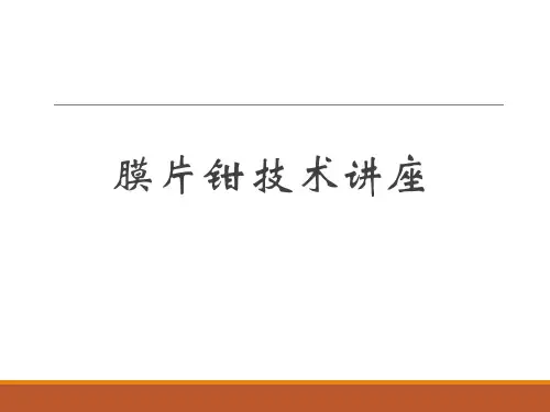 膜片钳实验与技巧