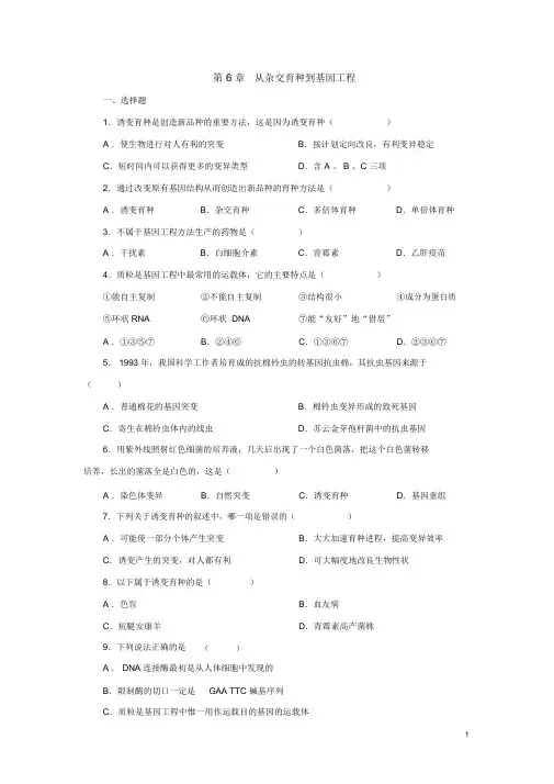高中生物必修二从杂交育种到基因工程测试题及答案