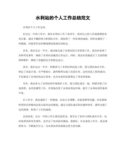 水利站的个人工作总结范文