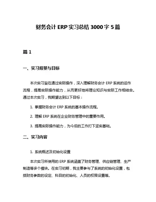 财务会计ERP实习总结3000字5篇