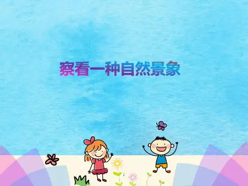 五年级下册语文习作指导-第1单元-观察一种自然现象-苏教版ppt课件