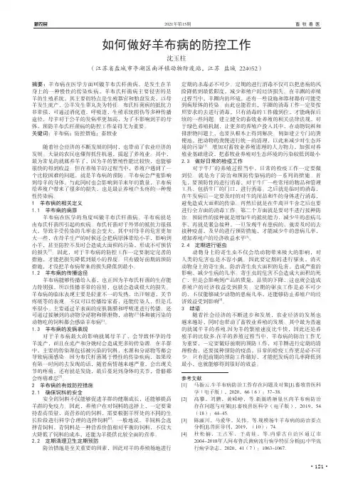 如何做好羊布病的防控工作