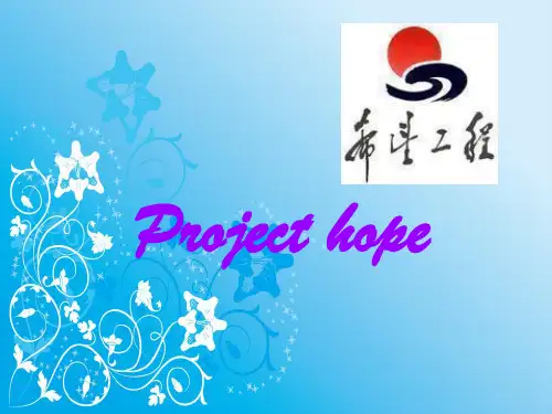 希望工程介绍 英 PPT
