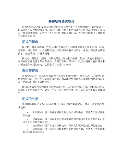 鲁梅哈特图式理论