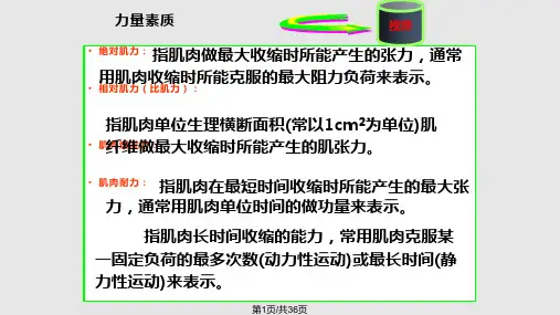 运动生理学肌肉力量素质的生理基础与训练PPT课件