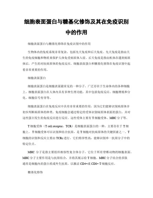 细胞表面蛋白与糖基化修饰及其在免疫识别中的作用