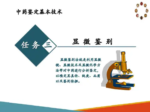中药鉴定基本技术—显微鉴定