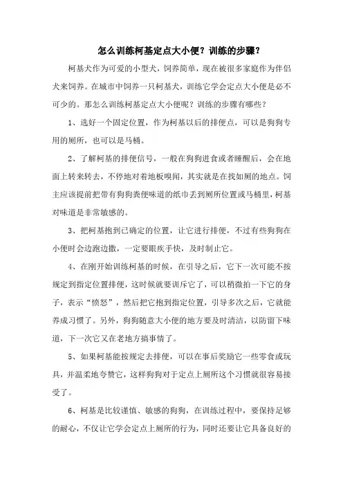 怎么训练柯基定点大小便？训练的步骤？