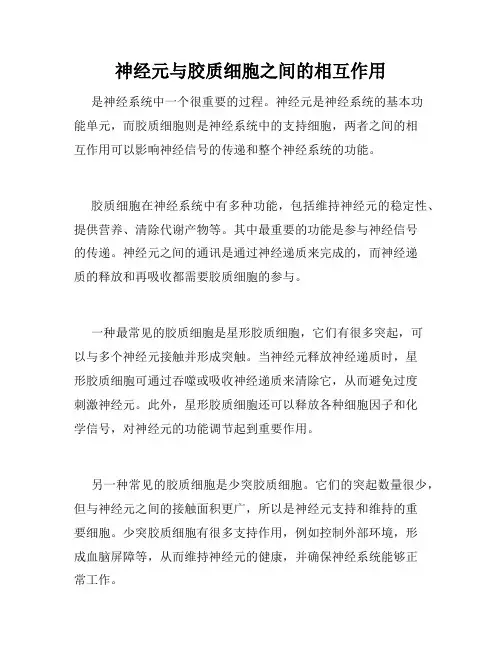 神经元与胶质细胞之间的相互作用