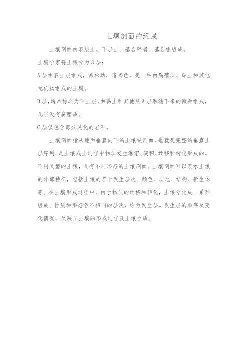 土壤剖面的组成