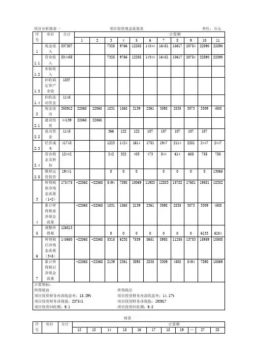 财务分析报表1---项目投资现金流量表
