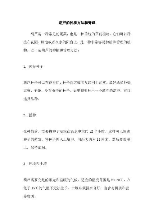 葫芦的种植方法和管理