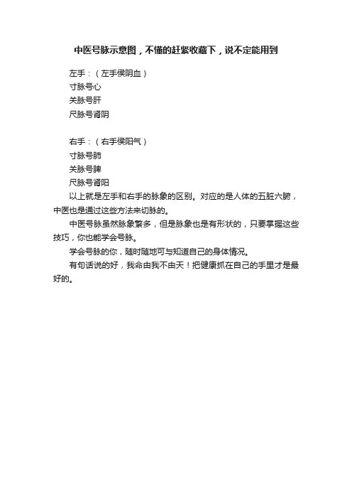 中医号脉示意图，不懂的赶紧收藏下，说不定能用到