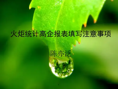 火炬统计高企报表填写注意事项(企业版)
