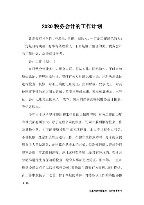 2020税务会计的工作计划_工作计划
