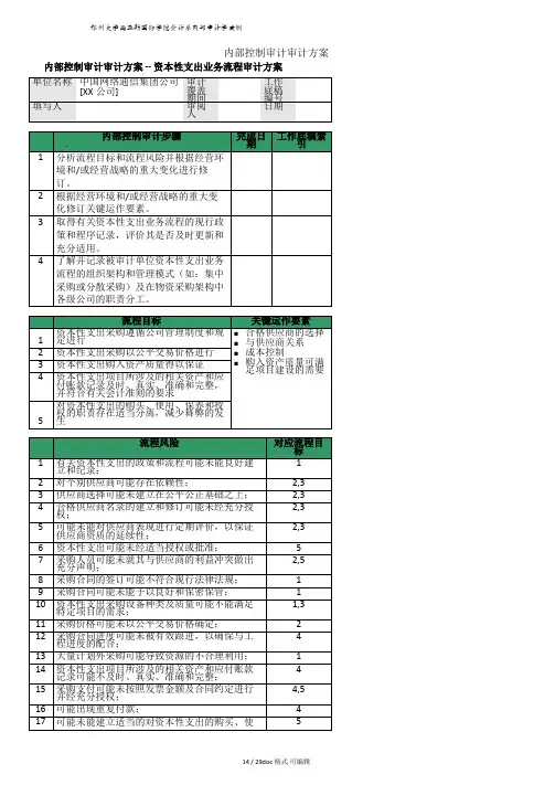 内部控制审计审计方案【甄选文档】
