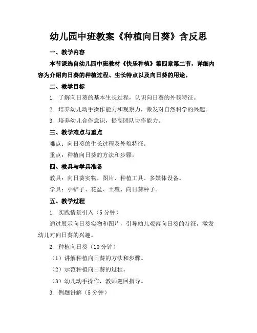 幼儿园中班教案《种植向日葵》含反思