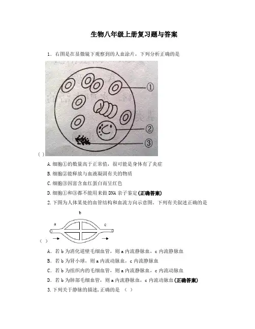 生物八年级上册复习题与答案