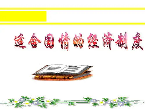 充满生机和活力的经济制度