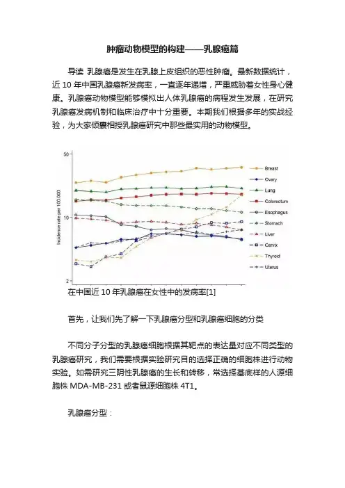 肿瘤动物模型的构建——乳腺癌篇