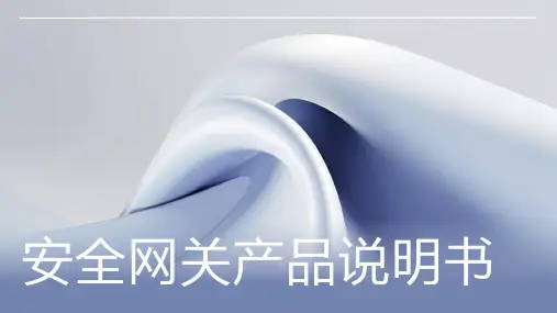 安全网关产品说明书