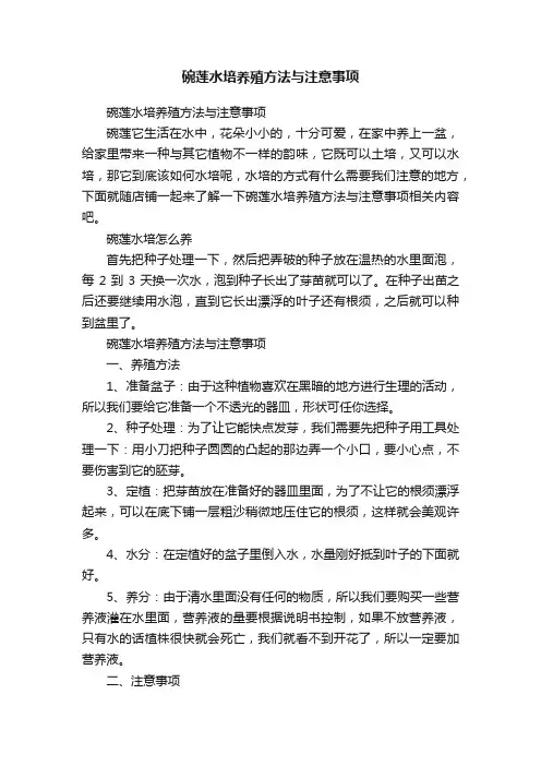 碗莲水培养殖方法与注意事项