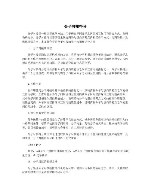 分子对接得分