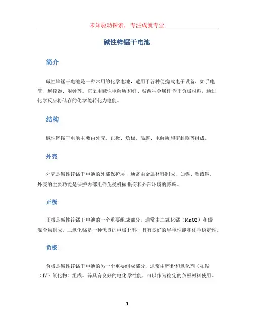 碱性锌锰干电池 (2)