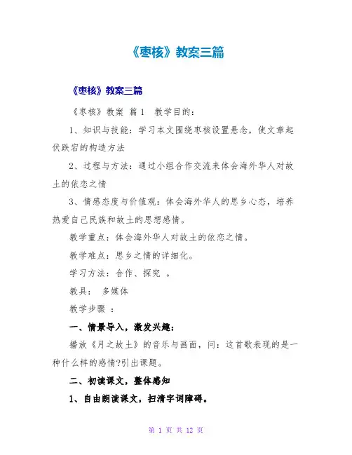 《枣核》教案三篇