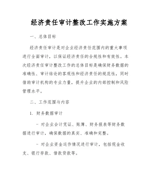 经济责任审计整改工作实施方案